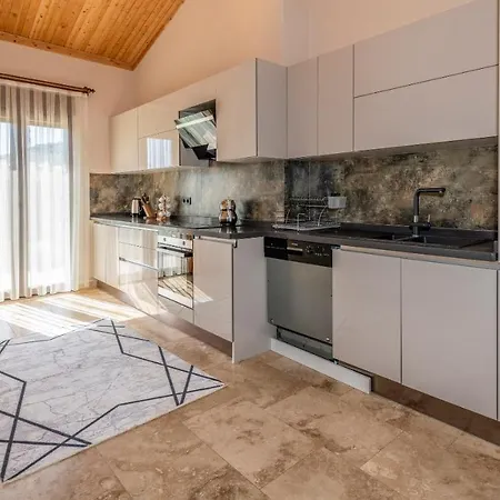 Arzu - 3 Bedroom In Kayakoey Oeluedeniz 别墅